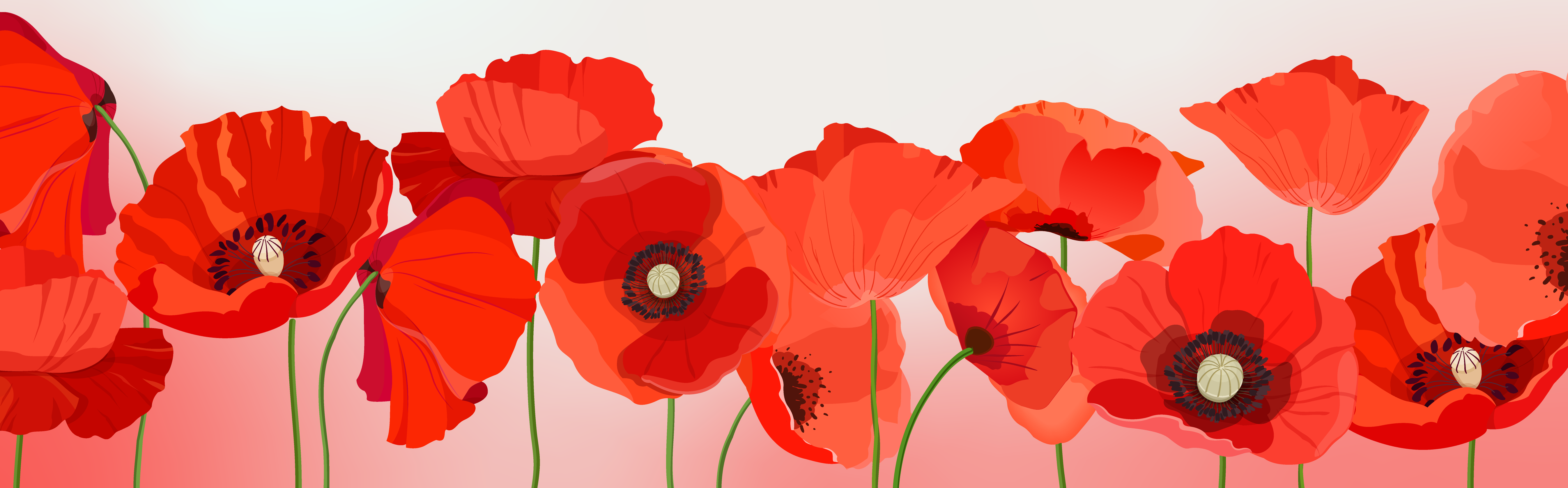 Remembrance Day Graphic